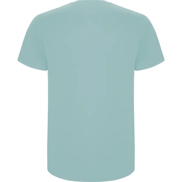 Men's mint Stafford shirt T-shirt | Polo Roly