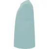Men's mint Stafford shirt T-shirt | Polo Roly