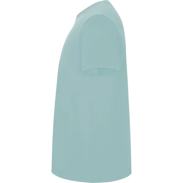 Men's mint Stafford shirt T-shirt | Polo Roly