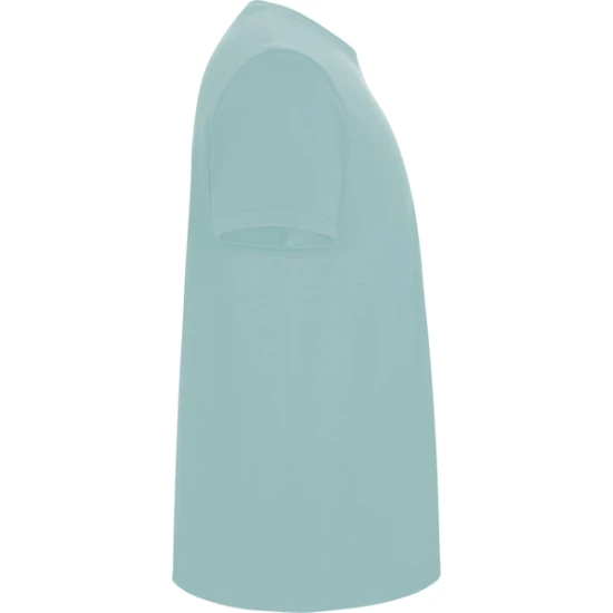 Vyriški mėtinės spalvos marškinėliai Stafford Marškinėliai | Polo Roly