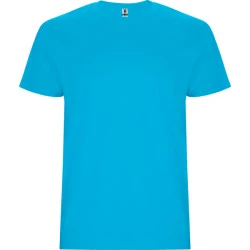 Vyriški žydros spalvos marškinėliai Stafford