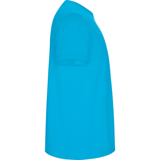 Vyriški žydros spalvos marškinėliai Stafford Marškinėliai | Polo Roly