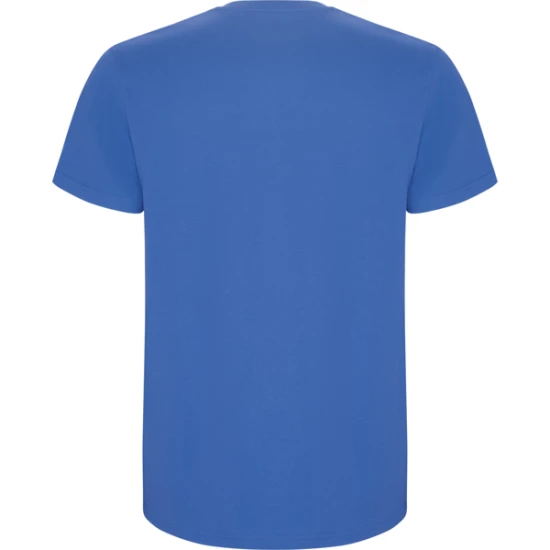 Vyriški mėlynos spalvos marškinėliai Stafford Marškinėliai | Polo Roly