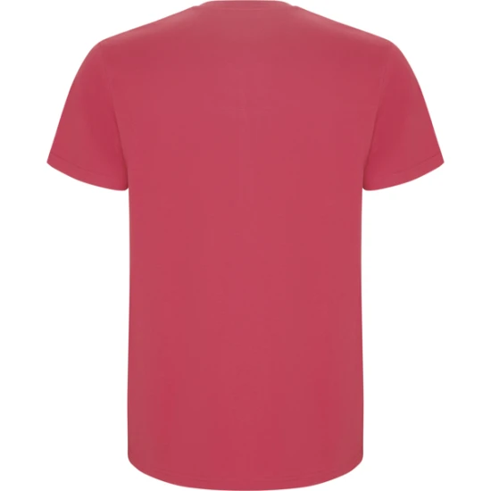 Vyriški rausvos spalvos marškinėliai Stafford Marškinėliai | Polo Roly