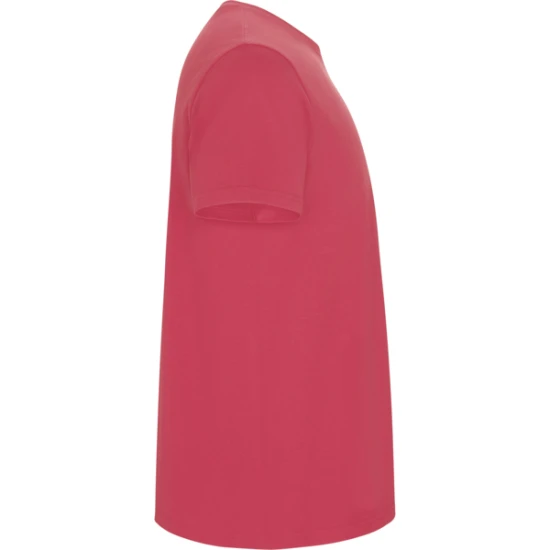 Vyriški rausvos spalvos marškinėliai Stafford Marškinėliai | Polo Roly