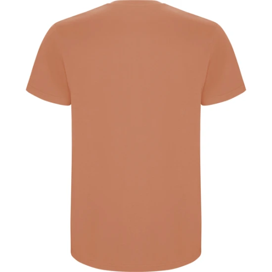 Vyriški deginto molio atspalvio marškinėliai Stafford Marškinėliai | Polo Roly