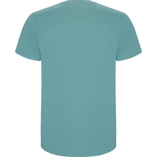 Vyriški žalsvai melsvos spalvos marškinėliai Stafford Marškinėliai | Polo Roly