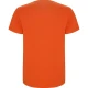 Vyriški oranžinės spalvos marškinėliai Stafford Marškinėliai | Polo Roly