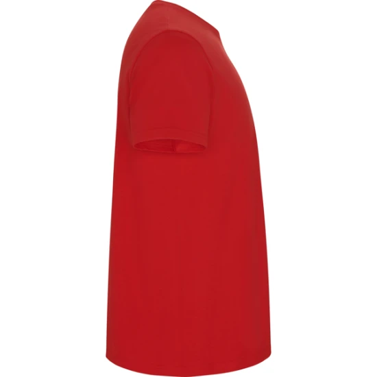 Vyriški raudonos spalvos marškinėliai Stafford Marškinėliai | Polo Roly