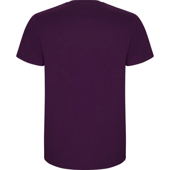 Vyriški violetinės spalvos marškinėliai Stafford Marškinėliai | Polo Roly
