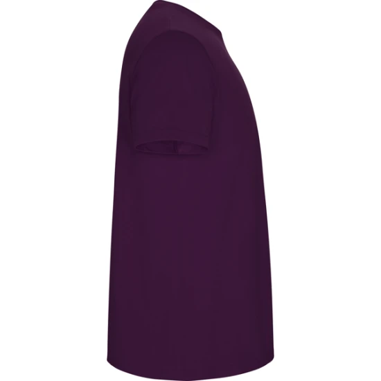 Vaikiški violetinės spalvos marškinėliai Stafford Marškinėliai | Polo Roly