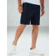 Vyriški tamsiai mėlyni šortai Anet Šortai