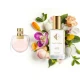 Nr685 kvepalai įkvėpti Chloe – Nomade 60 ml 