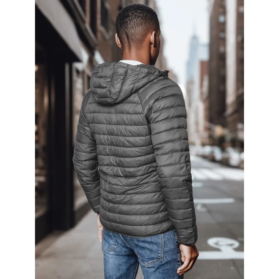 Vyriška pilka striukė Serg TX4422