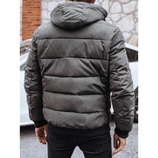 Vyriška pilka žieminė striukė Tamil Žieminės striukės