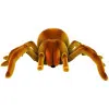 Nuotoliniu būdu valdomas infraraudonųjų spindulių voras Tarantula Brown R/C Radijo bangomis valdomi žaislai