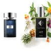No483 Rochas'i inspireeritud parfüüm - L'Homme Rochas 33 ml