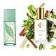 Nr. 85 kvepalai įkvėpti Arden - Green Tea 60 ml