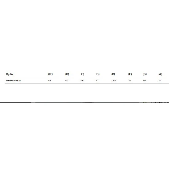 Moteriškas pilkas laisvalaikio komplektas Misti Moteriški komplektai