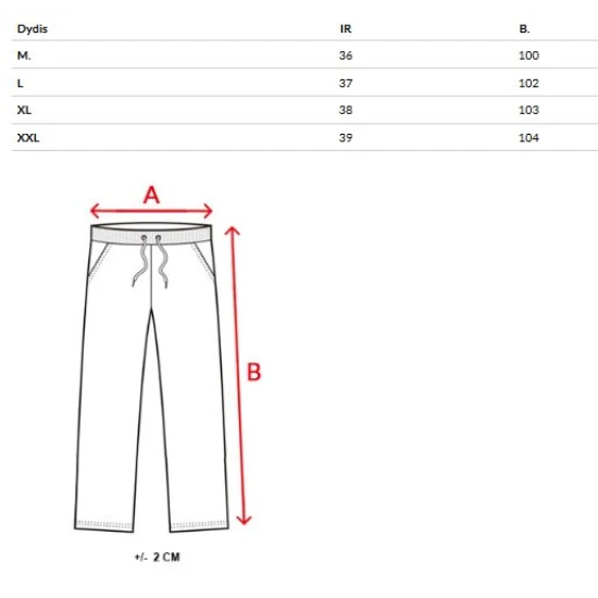 Vyriškos pilkos laisvalaikio kelnės Rebel Laisvalaikio kelnės