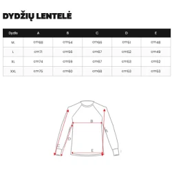 Vyriškas rusvas megztinis Remin