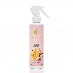 Automobilio ir namų kvepalai Nr167 - BELLE DEMOISELLE 150 ML