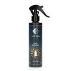 Automobilio ir namų kvepalai Nr450 – OUD ESSENCE 150 ML