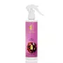 Car and Home Fragrance Nr744 – LAST CHERRY 150 ml
