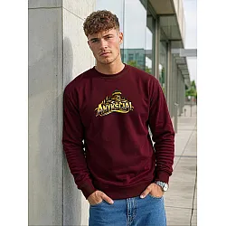Meeste bordo värvi džemper Anykščiai