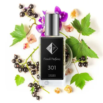 Calvin Kleini poolt inspireeritud No301 parfüüm - Euphoria Intense 104 ml
