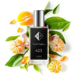 Nr423 kvepalai įkvėpti Mexx - Black Men 60 ml