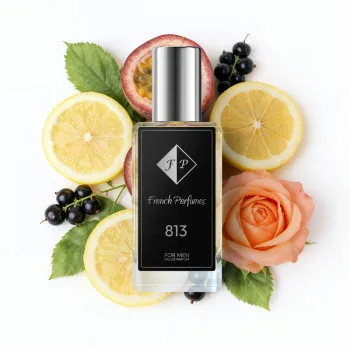 Nr813 perfume inspired by Tiziana Terenzi - Halley (Unisex) 33 ml