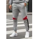 Vyriškos pilkos laisvalaikio kelnės Anton
