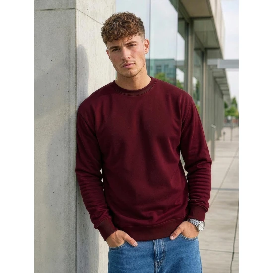 Vyriškas bordo džemperis be gobtuvo Steel Džemperiai be gobtuvo