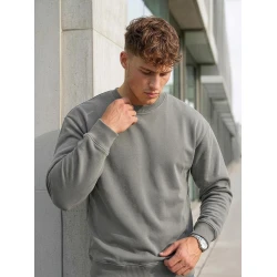 Vyriškas pilkas džemperis be gobtuvo Steel