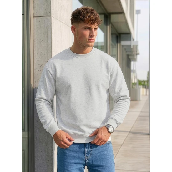 Vyriškas šviesiai pilkas džemperis be gobtuvo Steel Džemperiai be gobtuvo