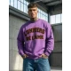 Vyriškas violetinis džemperis L'Univers