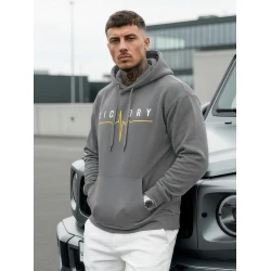 Vyriškas pilkas džemperis Victory