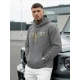 Vyriškas pilkas džemperis Victory