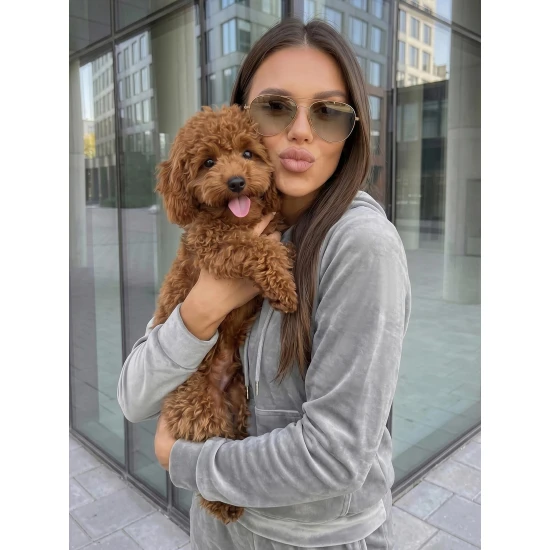 Pilkas veliūrinis komplektas Peril