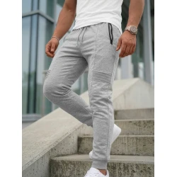 Vyriškos pilkos kelnės Astin