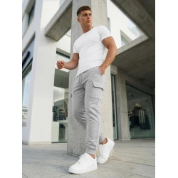 Vyriškos pilkos kelnės Brac