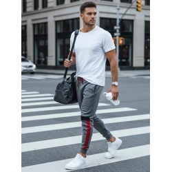 Vyriškos pilkos laisvalaikio kelnės Edma