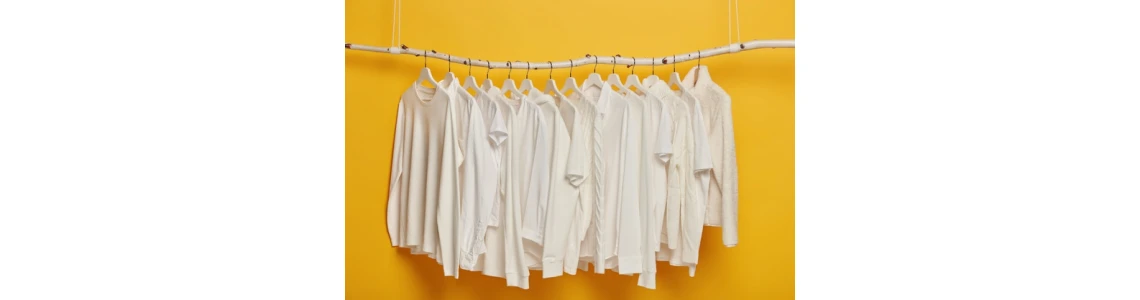 MINIMALIZMAS VYRŲ SPINTOJE