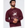 Vyriškas bordo spalvos džemperis Carte