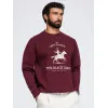 Vyriškas bordo spalvos džemperis Carte