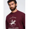 Vyriškas bordo spalvos džemperis Carte