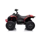 Baterijomis varomas raudonas keturratis CAN-AM