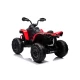 Baterijomis varomas raudonas keturratis CAN-AM