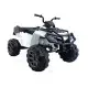 Quad BDM 0909 baltas 24V elektrinis keturratis